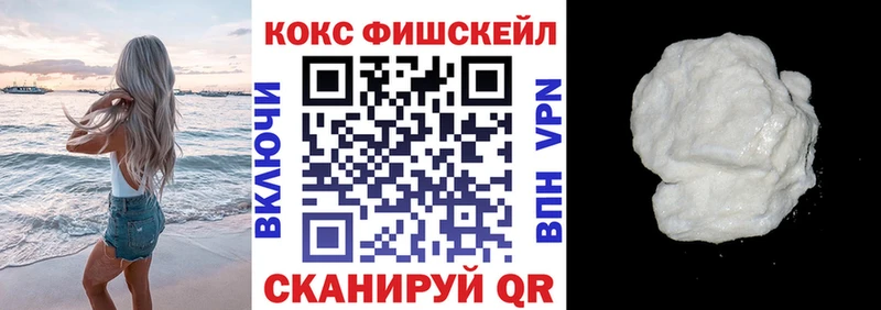 COCAIN Fish Scale  Купить закладки  Гудермес 