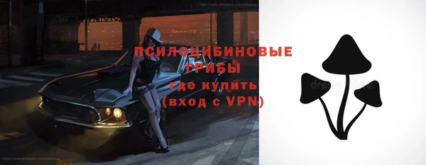круглые Белокуриха