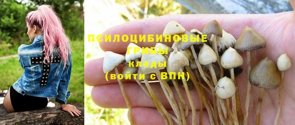 круглые Белокуриха