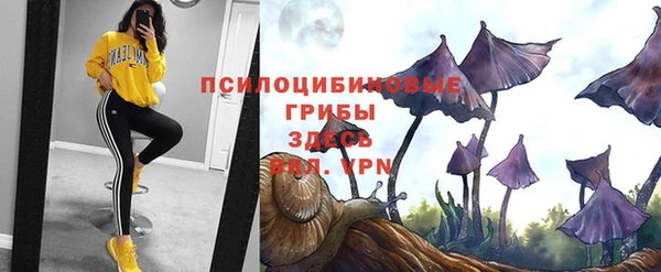 круглые Белокуриха