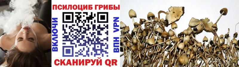Галлюциногенные грибы Cubensis  Купить где  Гудермес 